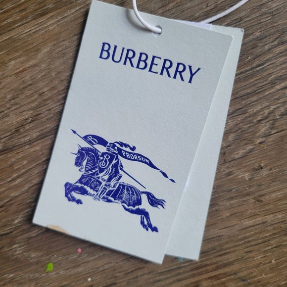 New With Tags Burberry Giant Check Cashmere Scarf for Women In Ribbon Color - Picture 6 of 15